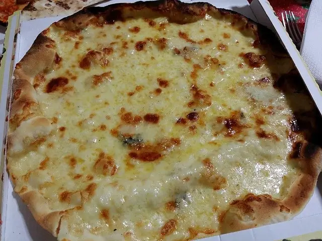 greasy cheese pizza