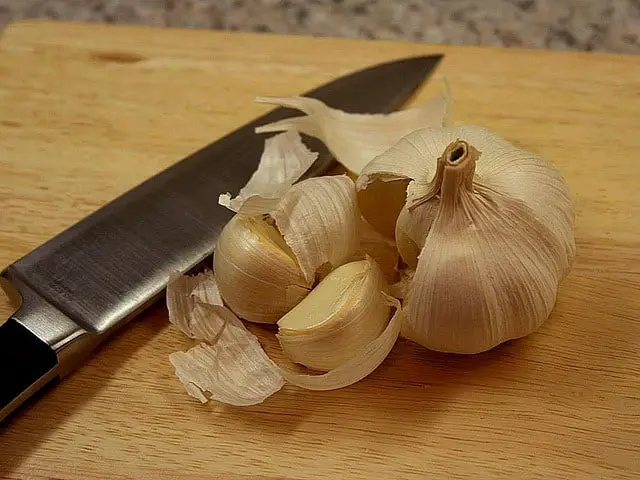 Garlic